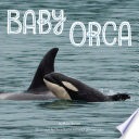 Baby Orca cover