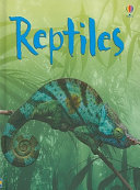 Reptiles cover