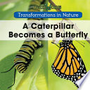 A Caterpillar Becomes a Butterfly cover