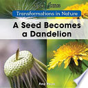 A Seed Becomes a Dandelion cover