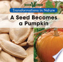 A Seed Becomes a Pumpkin cover