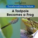 A Tadpole Becomes a Frog cover