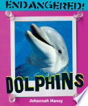 Dolphins cover