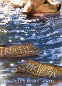 Trouble the Water cover