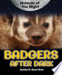 Badgers After Dark cover