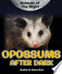 Opossums After Dark cover
