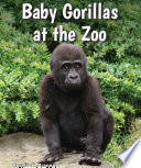 Baby Gorillas at the Zoo cover