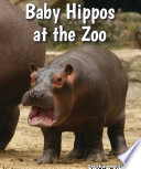 Baby Hippos at the Zoo cover