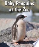 Baby Penguins at the Zoo cover