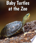 Baby Turtles at the Zoo cover
