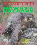 Hawks & Falcons cover