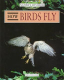 How Birds Fly cover