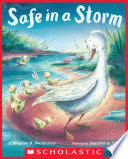 Safe in a Storm cover