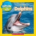 Dolphins cover