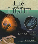 Life Without Light cover