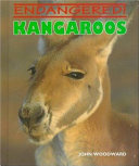 Kangaroos cover