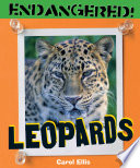 Leopards cover