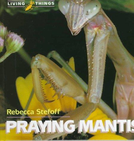Praying Mantis cover