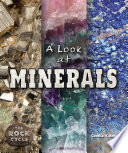 A Look at Minerals cover