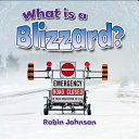 What Is a Blizzard? cover