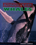 Whales cover