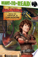 How to Track a Dragon cover