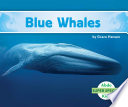 Blue Whales cover