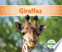 Giraffes cover
