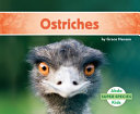 Ostriches cover