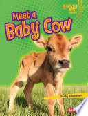 Meet a Baby Cow cover