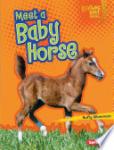 Meet a Baby Horse cover