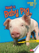 Meet a Baby Pig cover