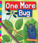 One More Bug: An Insect Addition Book cover
