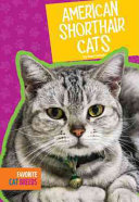 American Shorthair Cats cover
