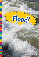 Flood! cover