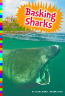 Basking Sharks cover
