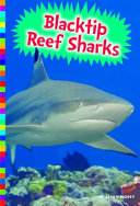 Blacktip Reef Sharks cover