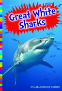 Great White Sharks cover