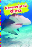 Hammerhead Sharks cover