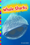 Whale Sharks cover