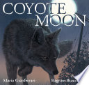 Coyote Moon cover