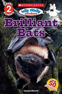 Brilliant Bats cover