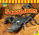 Scorpions cover