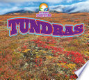 Tundras cover