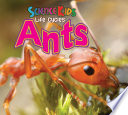 Ants cover
