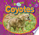 Coyotes cover