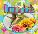 Hummingbirds cover