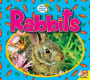 Rabbits cover