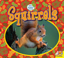 Squirrels cover