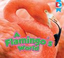 A Flamingo's World cover